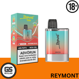 Reymont CB600 Pod Kit