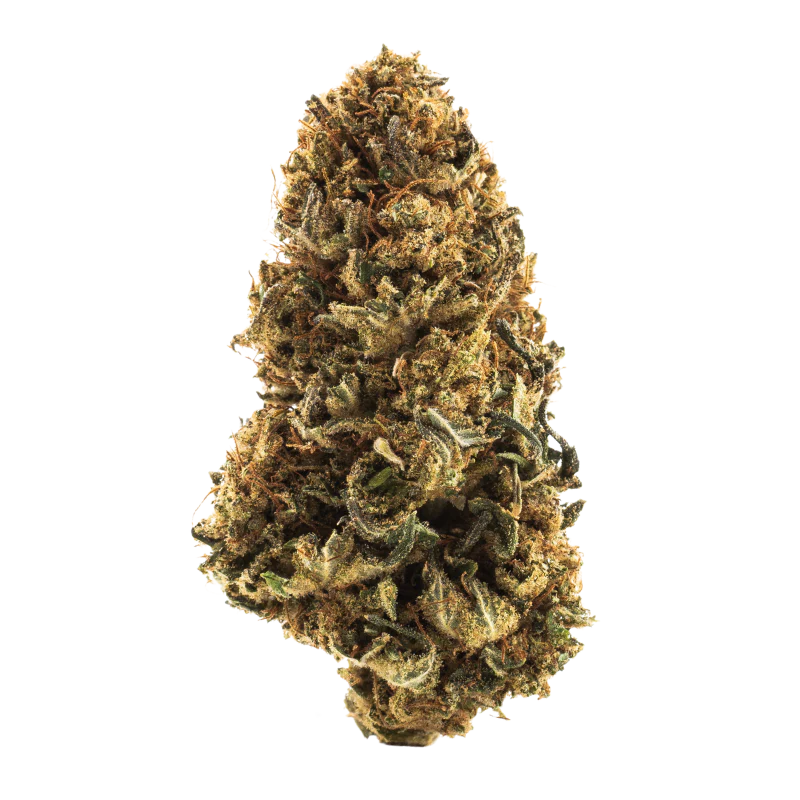CBD Blóm Kirsuber & Sæt Fura 1gr