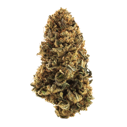 CBD Blóm Kirsuber & Sæt Fura 1gr